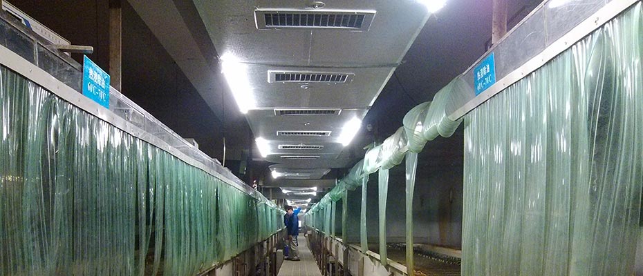 東莞環(huán)?？照{(diào)工程